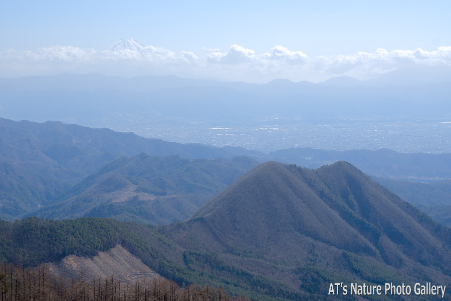 曲岳から見た富士山と太刀岡山／黒富士、曲岳／山梨