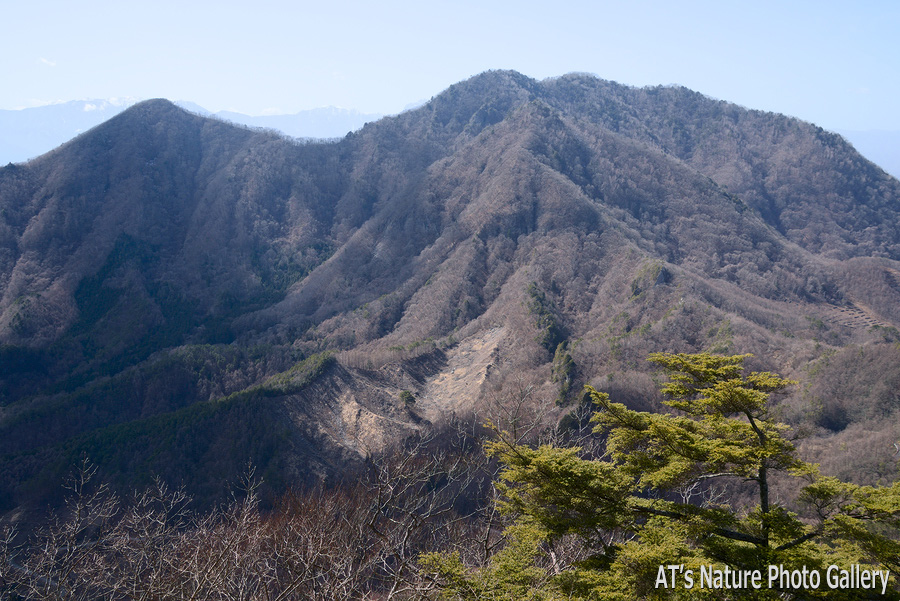 曲岳付近から見た茅ヶ岳と金ヶ岳／黒富士、曲岳／山梨