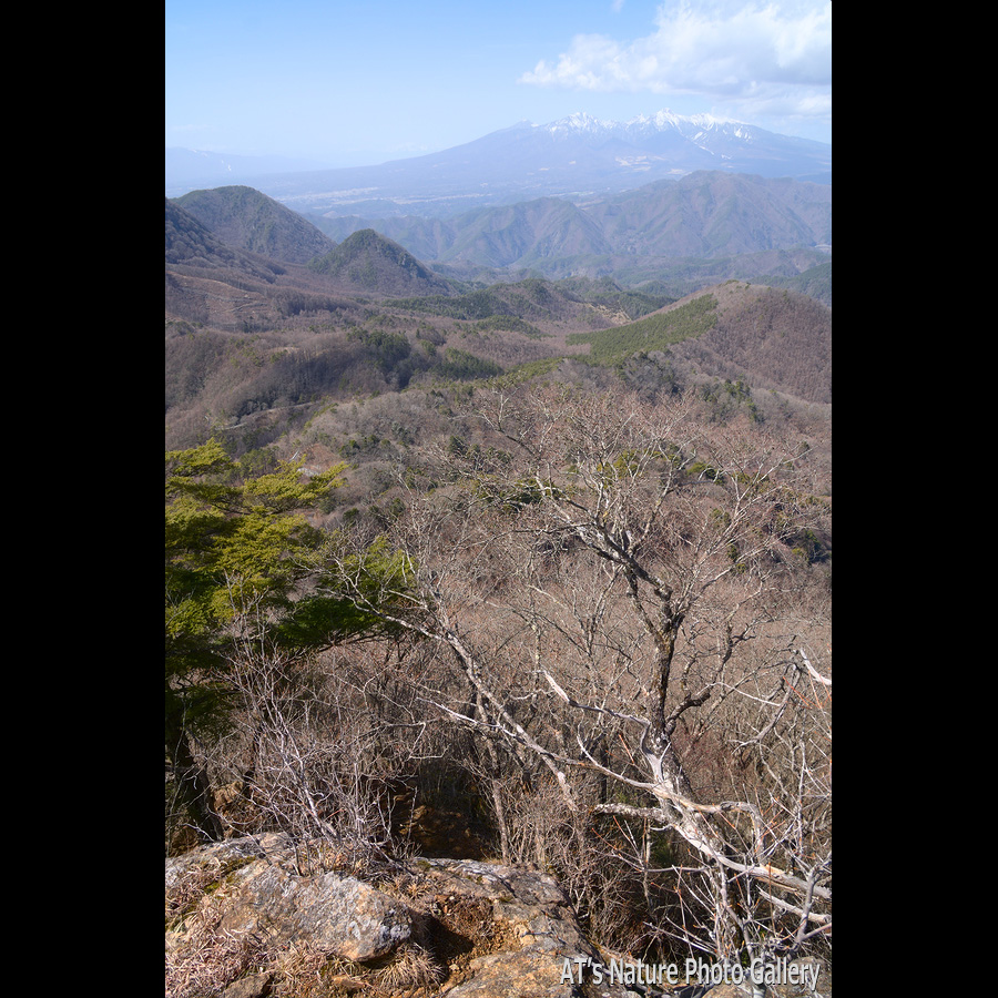 曲岳付近から見た八ヶ岳／黒富士、曲岳／山梨