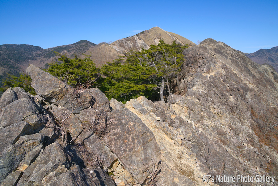 1539m岩稜から見た波平ピーク／中倉山、沢入山／栃木