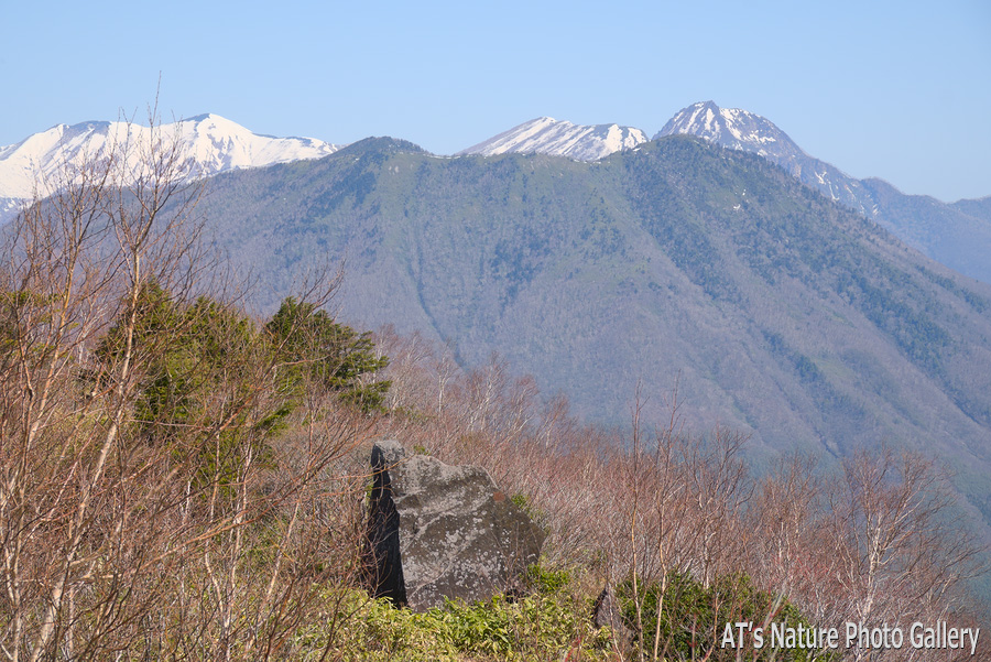 霊仙寺山から見た黒姫山と背後の火打山、妙高山／飯縄山／長野