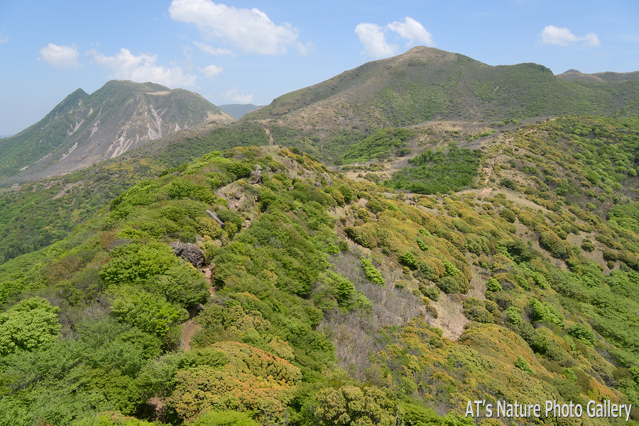 沓掛山から見た三俣山と星生山／久住山（くじゅう連山）／大分
