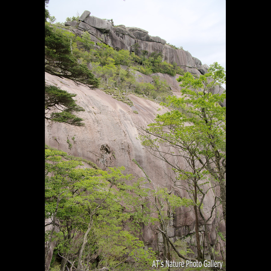 像岩上方から見た小積ダキの頂稜／大崩山／宮崎