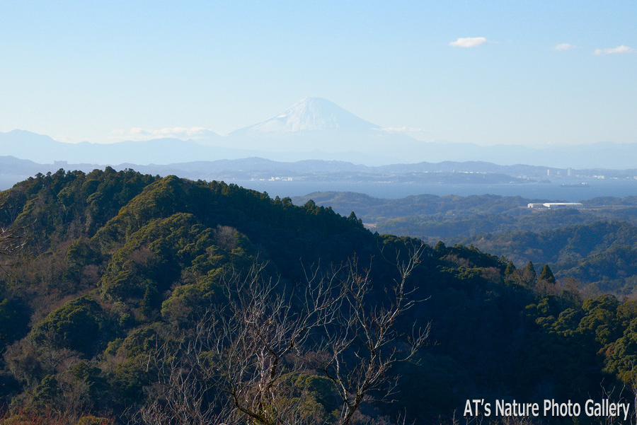 石射太郎展望台から見た富士山／高宕山／千葉