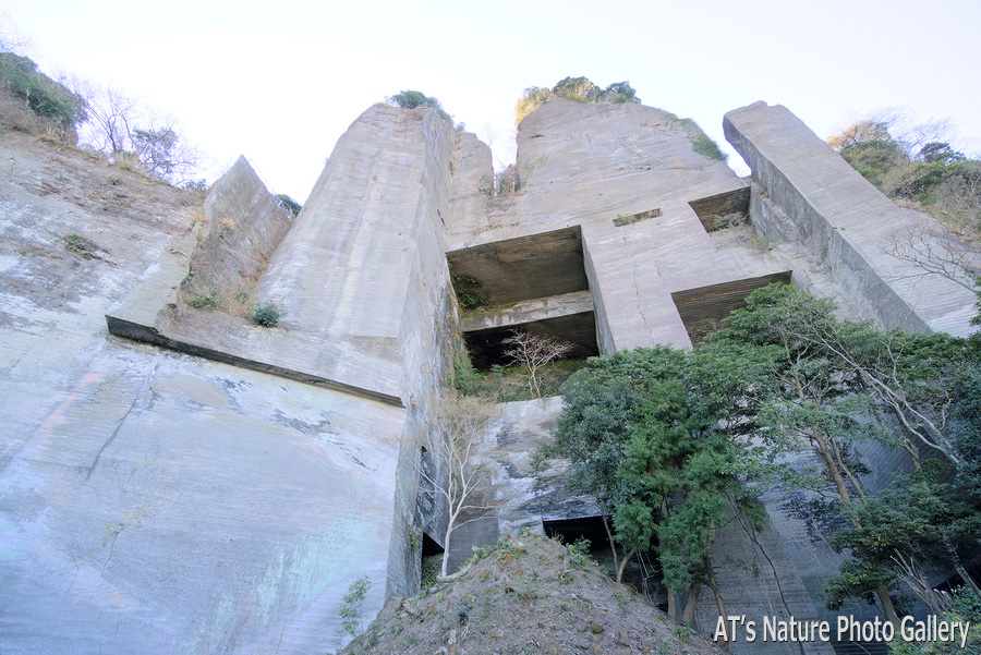 ラピュタの壁下から見上げた岩壁／鋸山／千葉県富津市、鋸南町