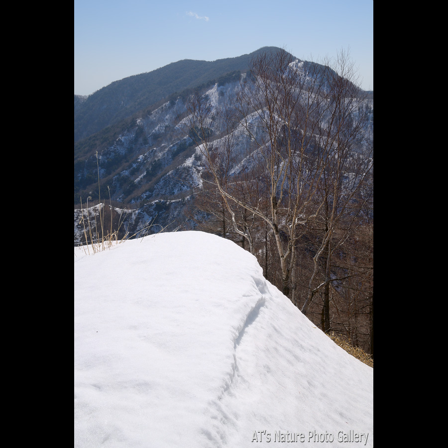 1567mピークから見た半月山／社山／栃木県日光市