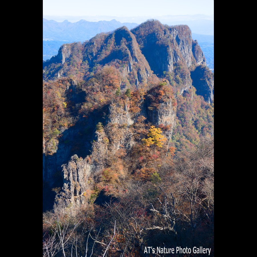 東岳から見た鷹戻しの頭付近の岩稜と白雲山／妙義、金洞山