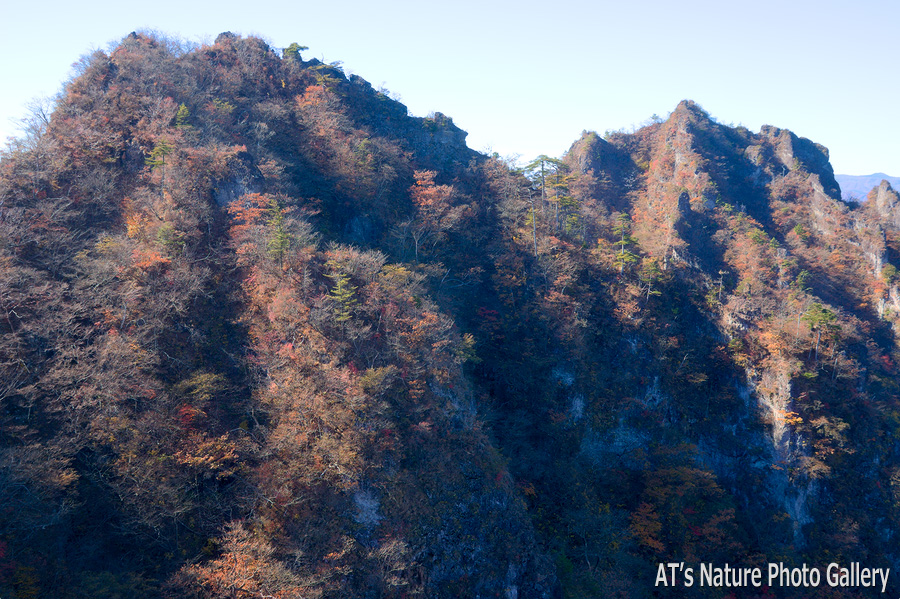 25m鎖の岩峰付近から見た東岳～西岳／妙義、金洞山