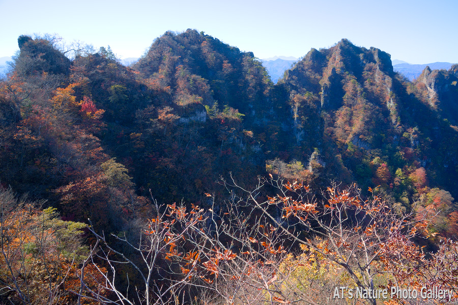 鷹戻しの頭から見た25m鎖の岩峰～西岳／妙義、金洞山